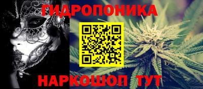 a pvp Лесосибирск