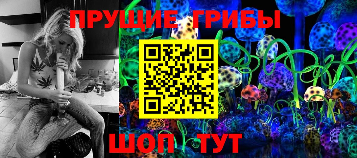 Галлюциногенные грибы Cubensis  Вход с VPN  Усть-Джегута 