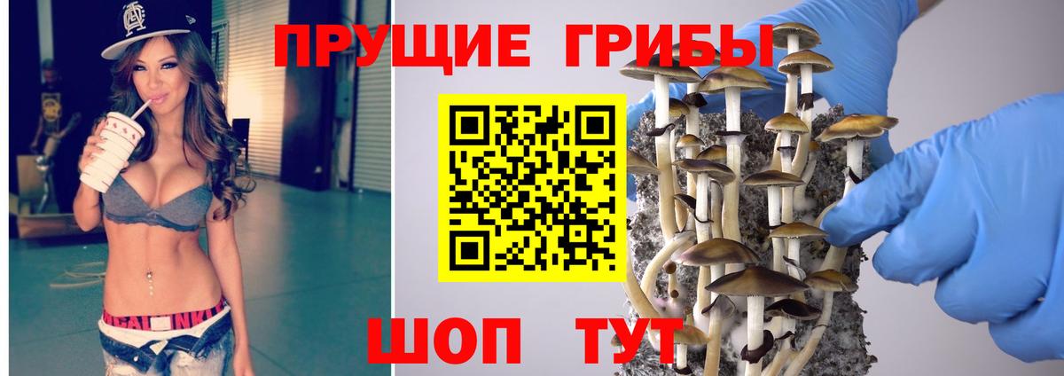 Псилоцибиновые грибы Psilocybine cubensis Усть-Джегута